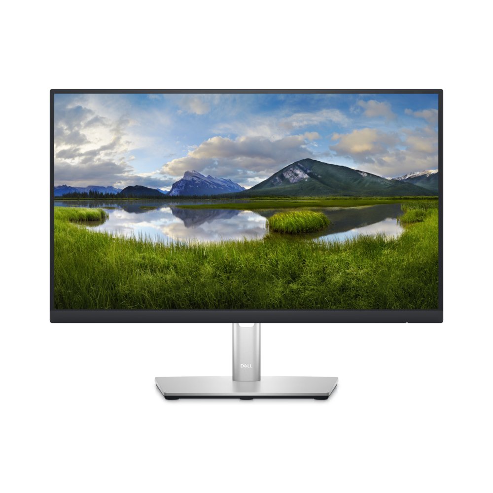 DELL P Series 22 USB-C-monitor - P2223HC