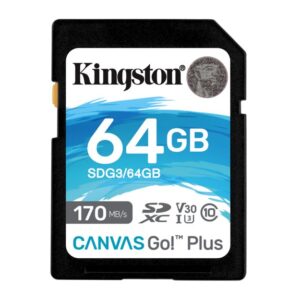 Kingston Technology Canvas Go! Plus flashgeheugen 64 GB SD UHS-I Klasse 10